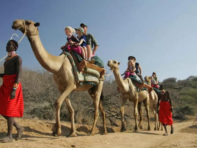 BEST FAMILY ADVENTURE TOURS