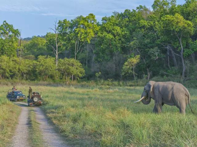 GO ON A JEEP SAFARI IN CORBETT NP
