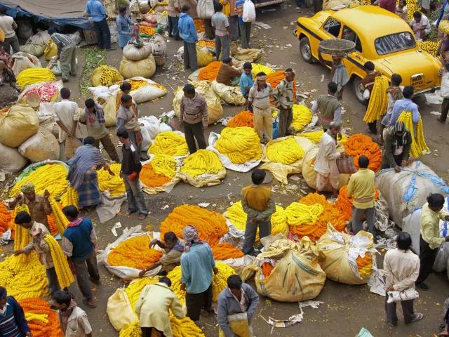 VISIT KOLKATA'S FLOWER MARKET