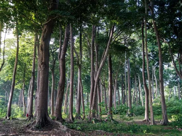 ENJOY DAY AND NIGHT NATURE WALKS