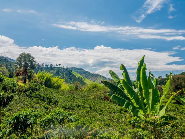 Trek in Iguaque Reserve