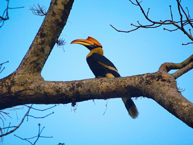 Discover a birder's paradise