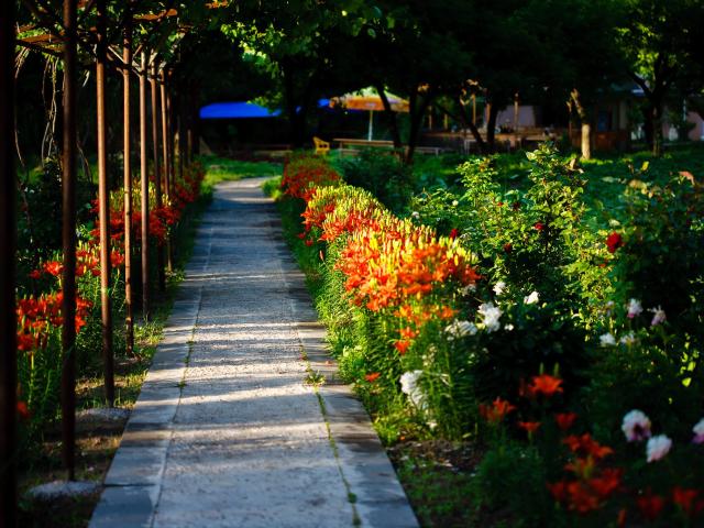 Valodia's Cottage