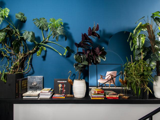 Communal Hotel Sololaki