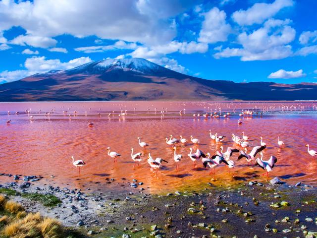 Explore surreal nature