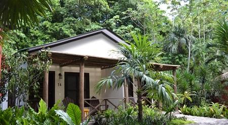 Jungle Lodge