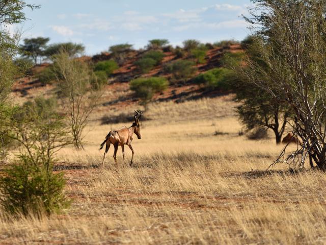 Etosha National Park