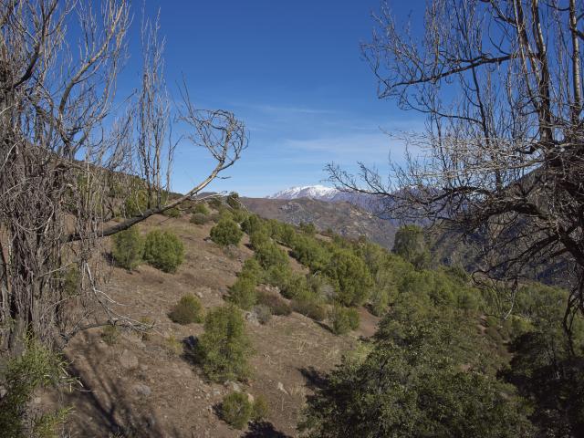 Daytrip to a nature sanctuary