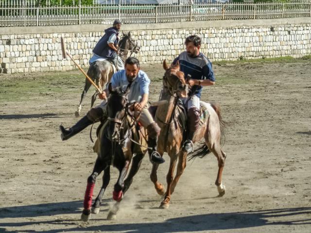 Catch a game of Frontier Polo