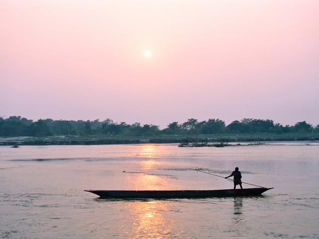 Embark on a boat safari
