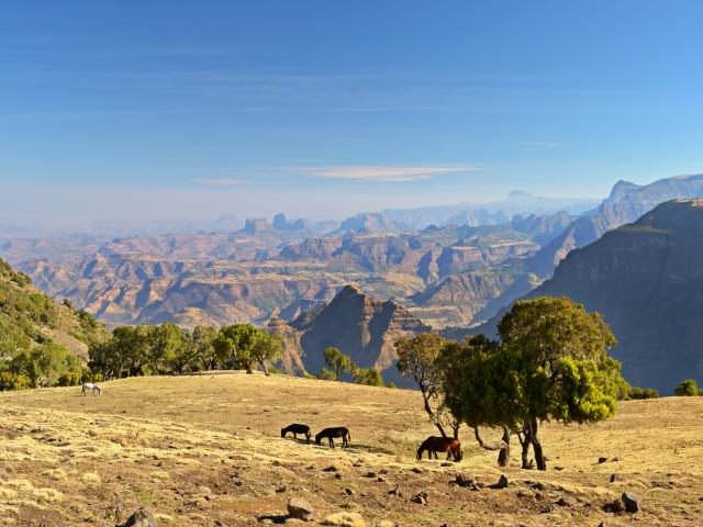 Trek in the mountains