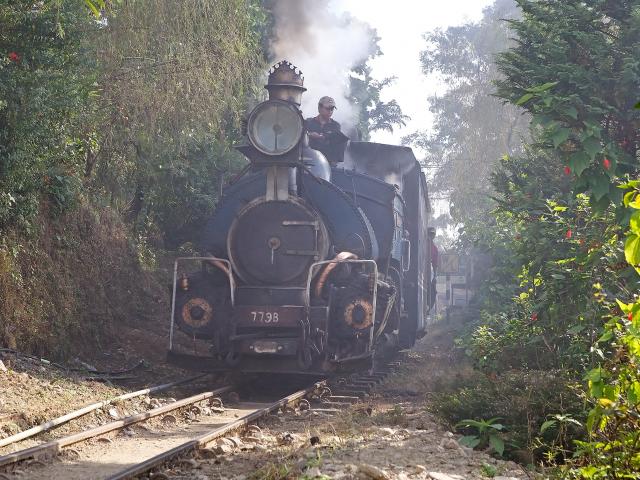 Ride the Toy Train