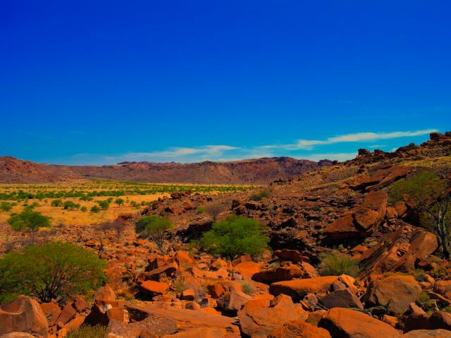 Walk through the Okonjima plains