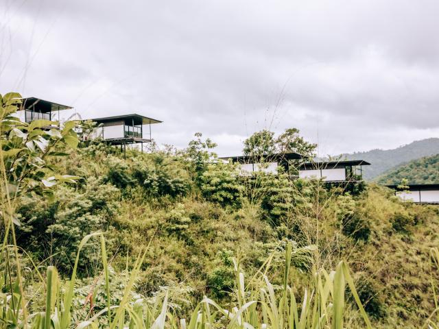 Santani Wellness