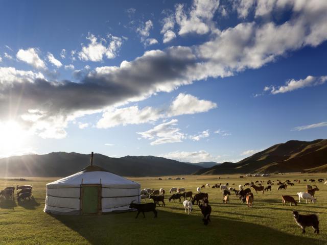 Stay in an eco-ger camp