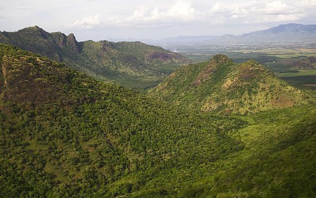 Rajakkad Estate