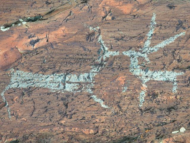 Discover ancient petroglyphs