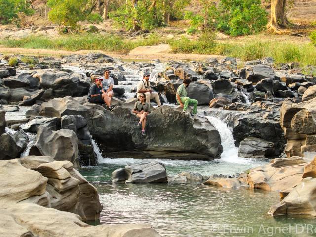 Reni Pani Jungle Lodge