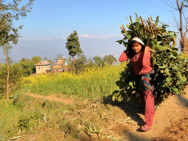 Go mountain biking in Pokhara