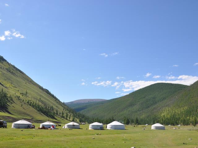 Nomadic Homestay (Galaa's Family)
