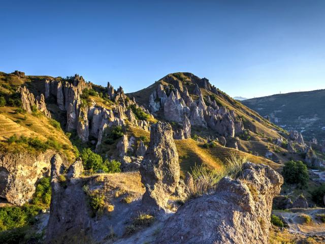 Goris
