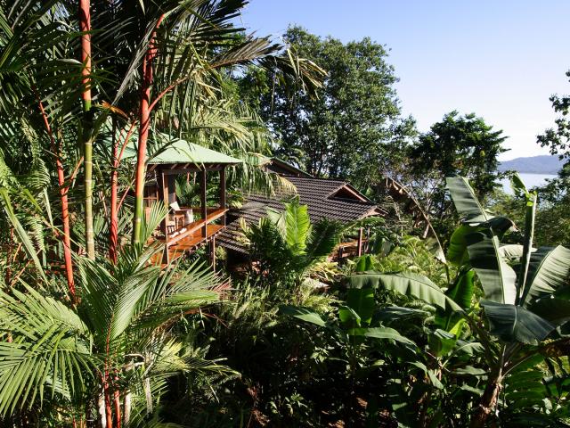 Aguila De Osa Inn