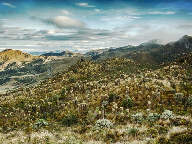 Hike in Los Nevados