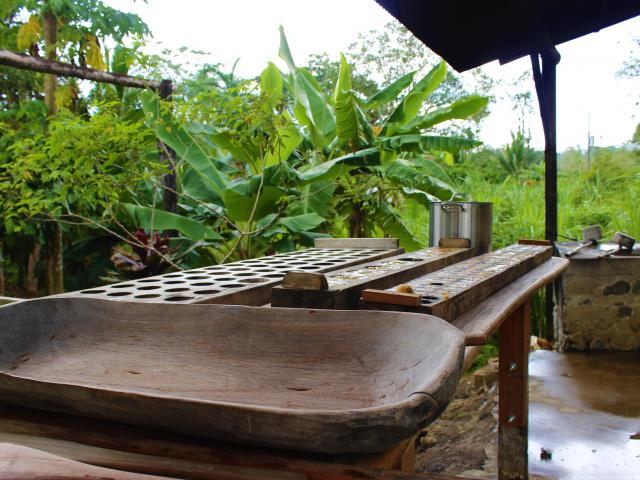 Take a gold mining and trapiche tour