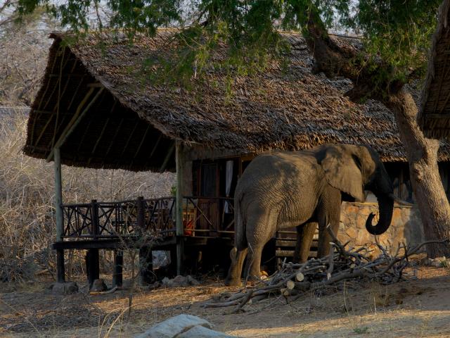 Ruaha River Lodge