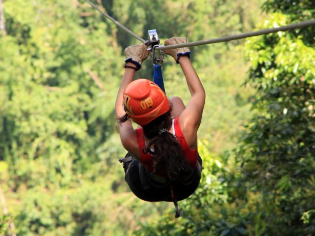 Take a Sky Tram/Sky Trek/Sky Walk