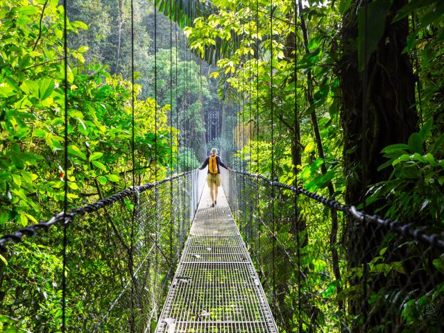 Walk the Mistico hanging bridges
