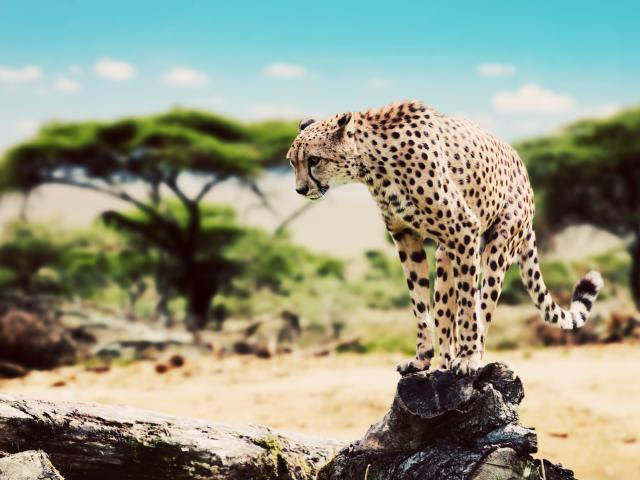 Explore the famous national park