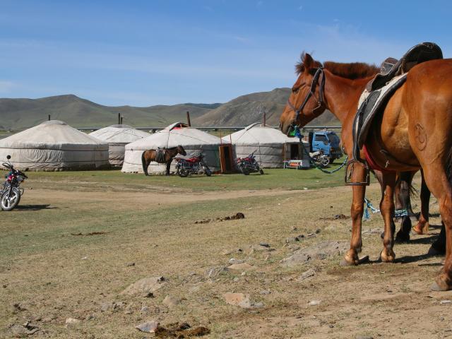 Get out on horseback