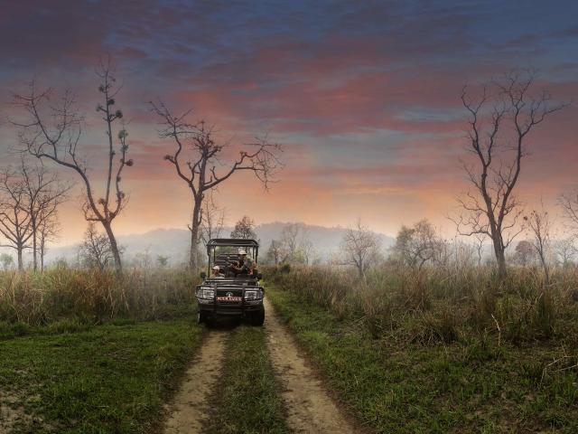 Barahi Jungle Lodge