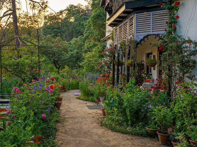 Sunnymead Estate, Shimla