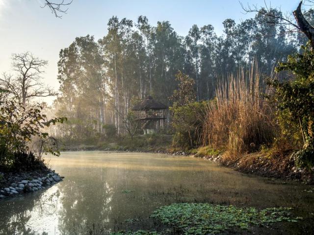 Jim's Jungle Retreat