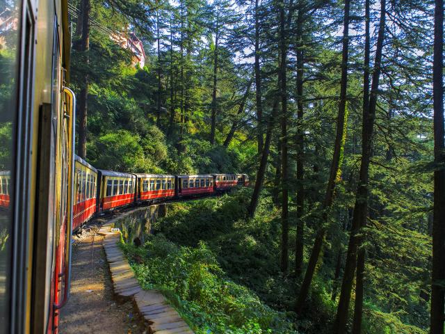 Shimla