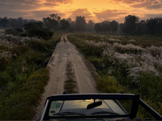 Kanha Earth Lodge