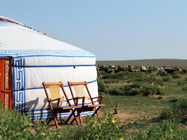 Ursa Major Ger Camp