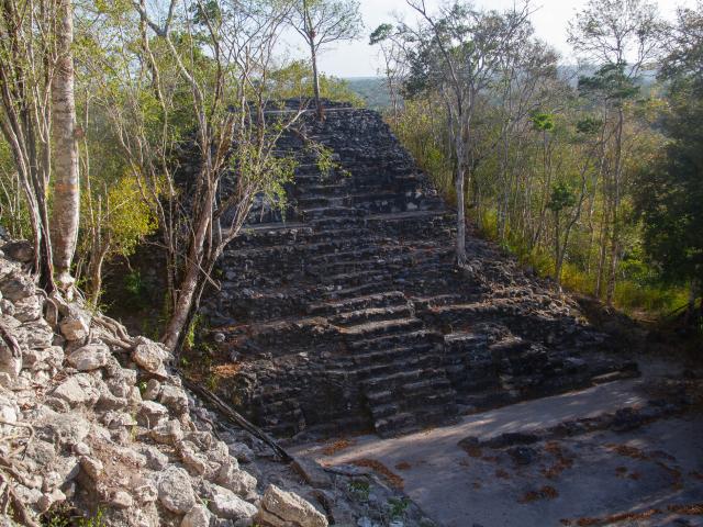 Tour El Mirador