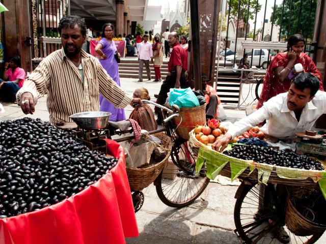 Get to the heart of Bangalore