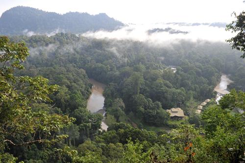 Borneo Rainforest Lodge