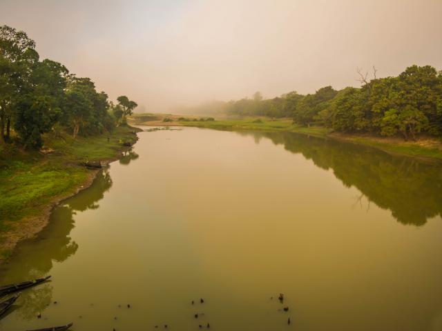 Encounter the Gangetic dolphins