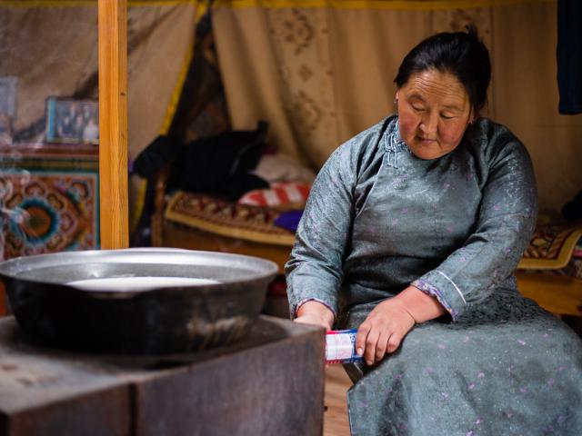 Nomadic Homestay (Naraa's Family)