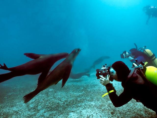 Get up close to Galapagos wildlife