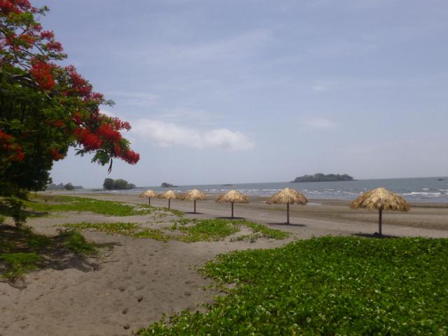 San Juan De La Isla