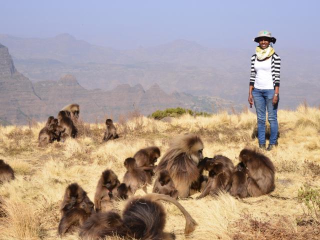 Simien Lodge