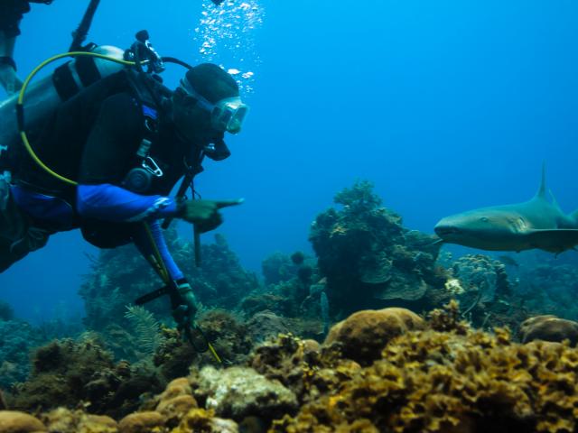 Go diving from Big Corn Island