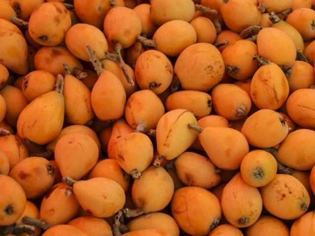 Learn about organic farming