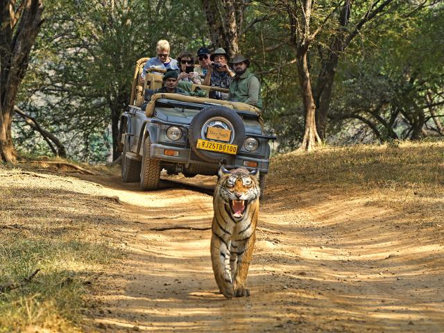 Suján Sher Bagh